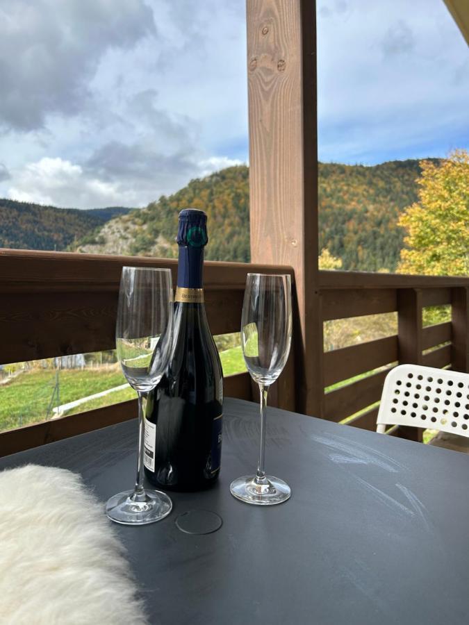 Confortable Appartement Renove Centre Villard De Lans Luaran gambar